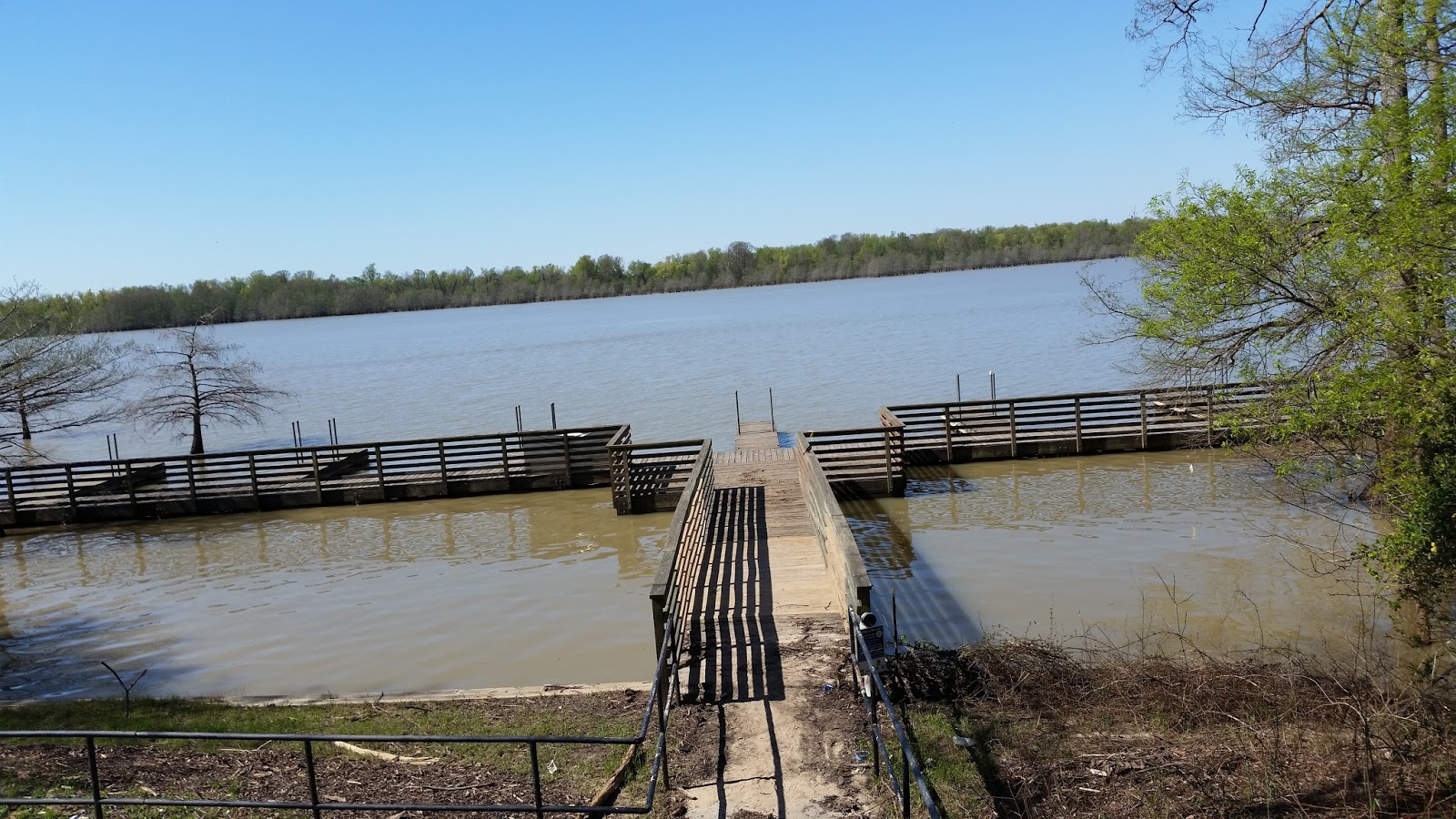 Shifting Gears Lake Chicot State Park