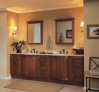 Bathroom Medicine Cabinets with Mirror Design Ideas