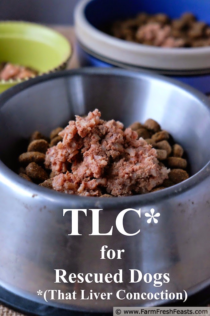 http://www.farmfreshfeasts.com/2014/12/tlc-for-rescued-dogs-recipe-with-results.html
