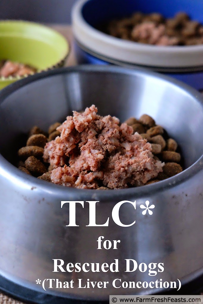 Farm Fresh Feasts TLC for Rescue(d) Dogs A Recipe with Results