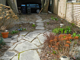 Leslieville spring garden cleanup before Paul Jung Gardening Services Toronto