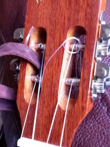 ukulele headstock and strings