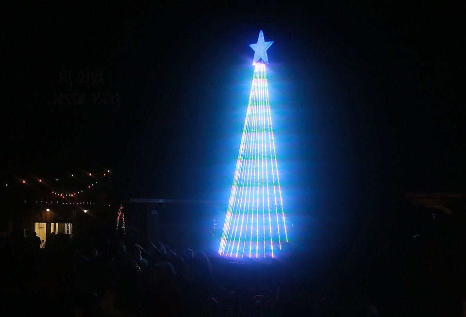 Zoo Lights at Jacksonville Zoo 2016