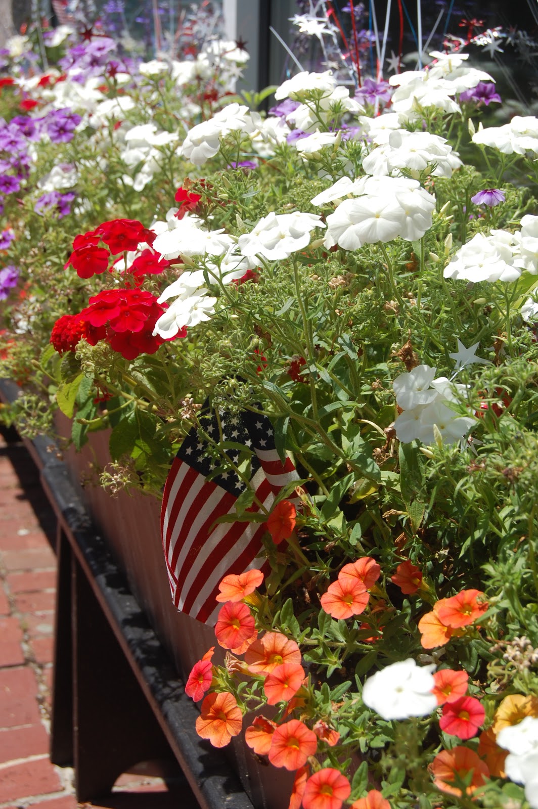 Sprouts Flowers Around Town Salem in the Summer