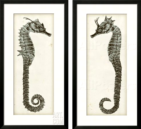 Seahorse Wall Art seahorse wall art diptych -shop the look - completely coastal Seahorse Wall Art seahorse wall art diptych -shop the look - completely coastal
