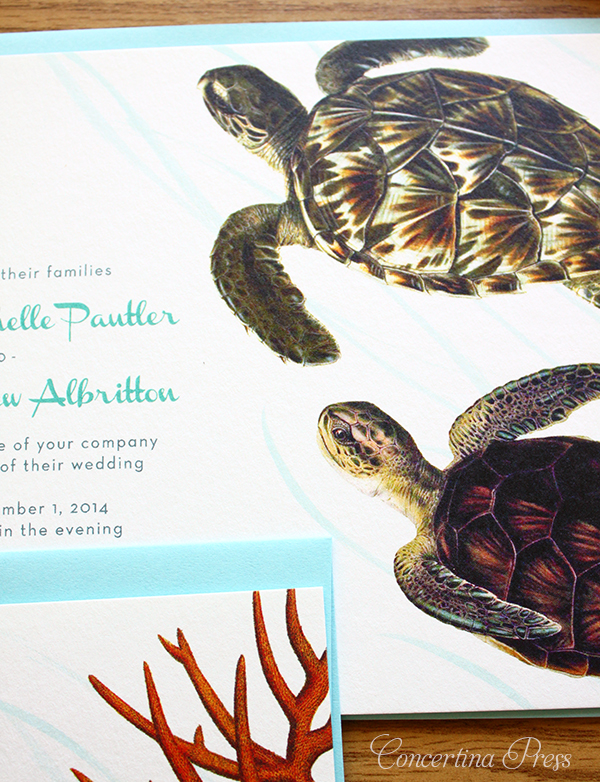 Florida Aquarium Wedding Invitations with Sea Turtles by Concertina Press