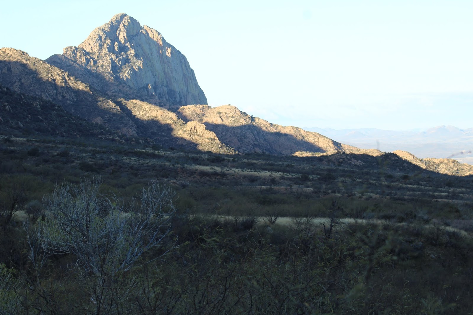 Peregrination February 18 Madera Canyon, Arizona