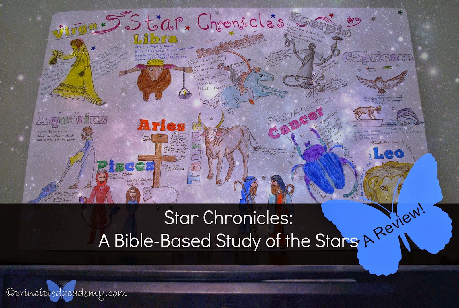 Constellation homeschool science