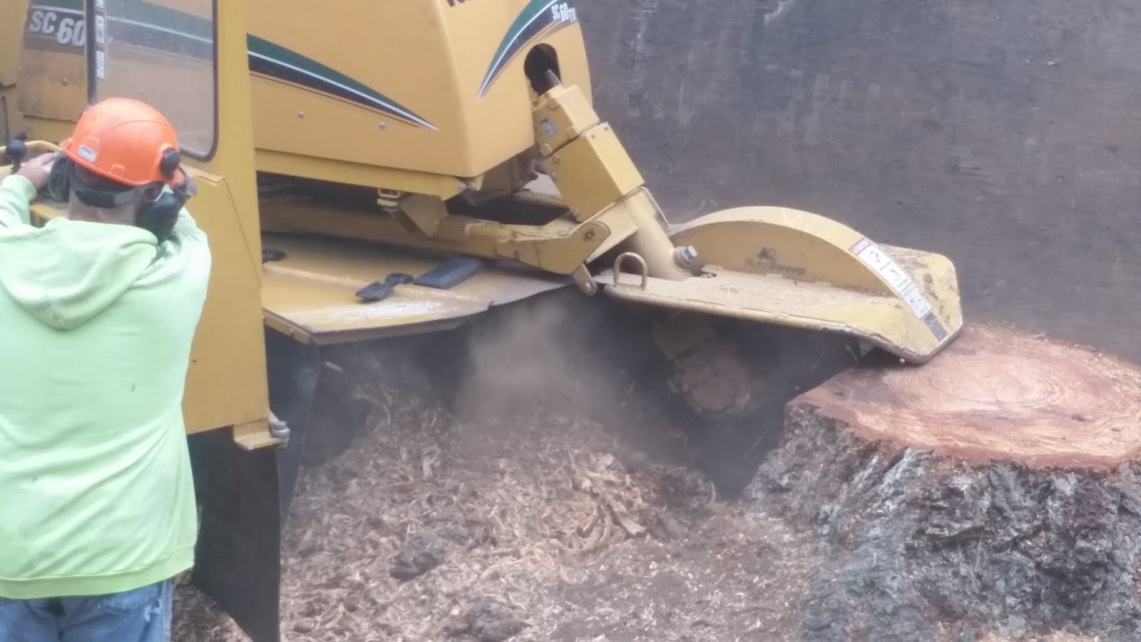 Brads Stump and Tree Service Arlington, Washington Stump Removal and