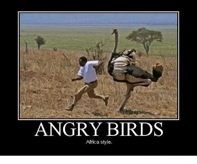  الطيور الغاضبة , angry birds , Africa style , angry birds Africa style , birds , angry bird 