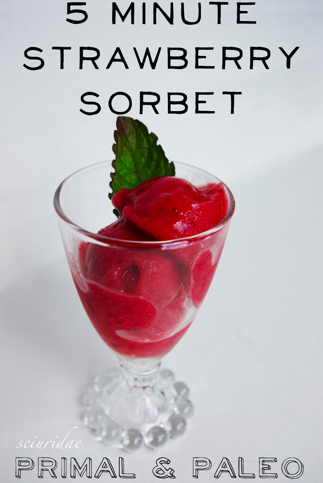 Sciuridae: 5 Minute Strawberry Sorbet (Primal/Paleo)