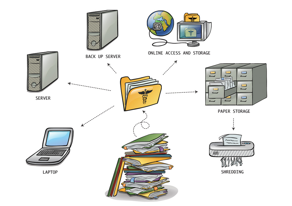 Herd Of Penguins Records Management Illustrations