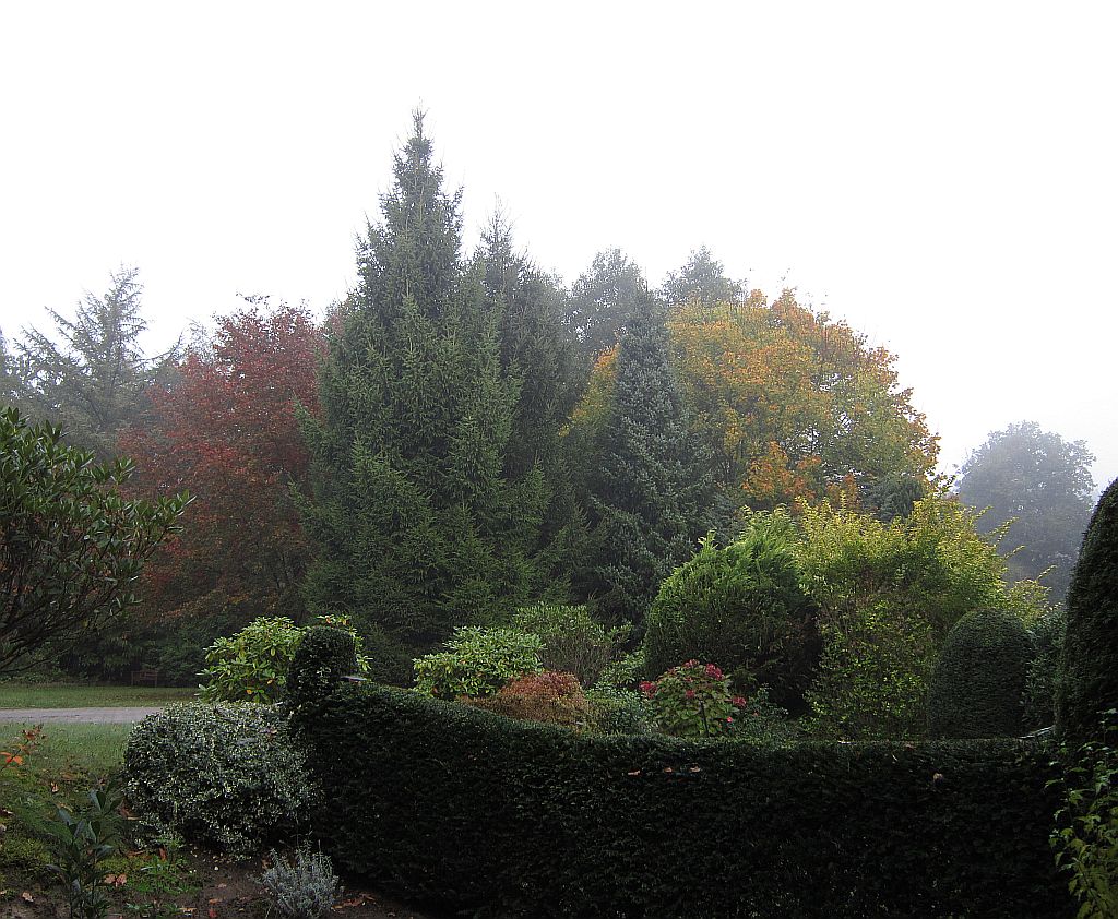 Partner Forderer Team