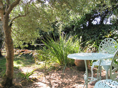 Table and chairs set on sun dappled cobbles under an Olive Tree