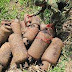 Décima Brigada encuentra en el Cesar depósito ilegal de cilindros bombas