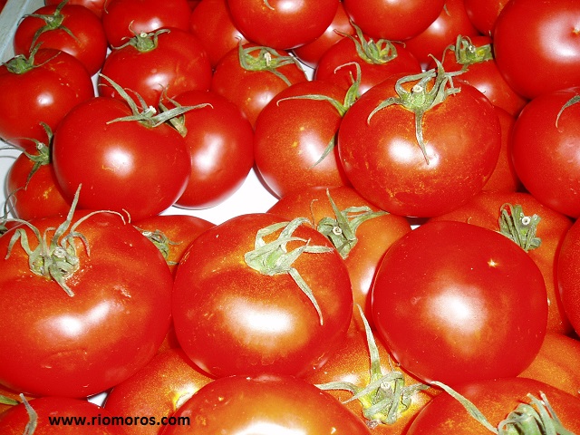 consejos para tener buenos tomates