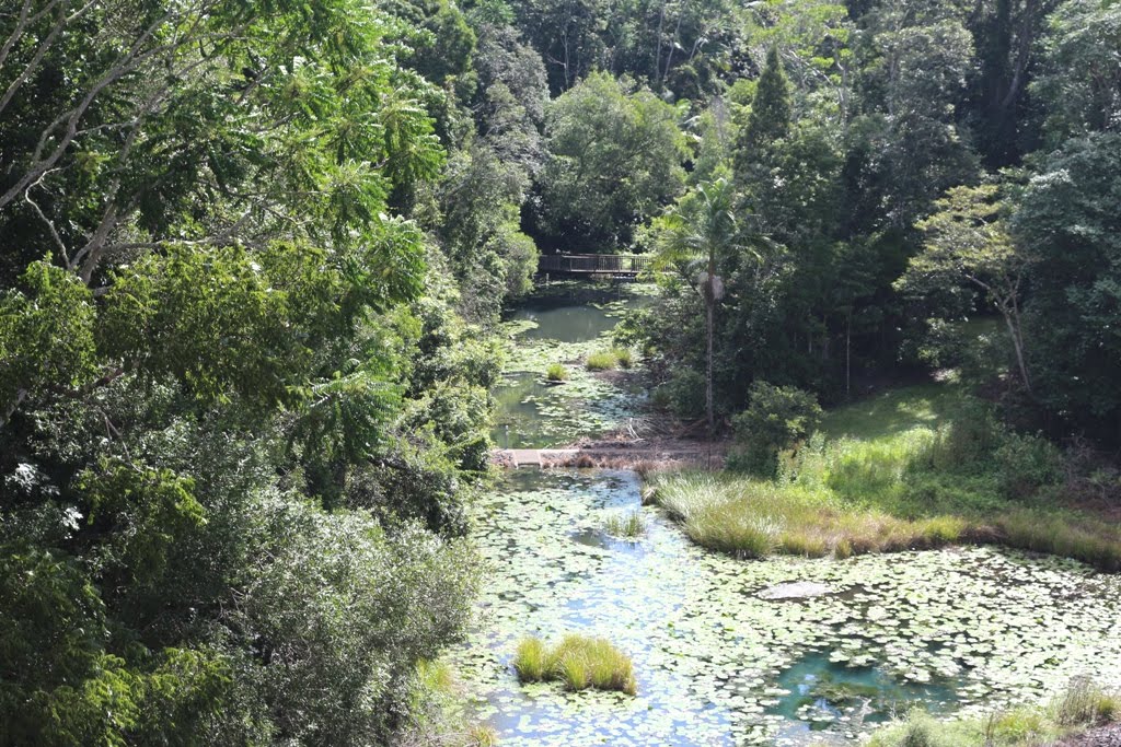 National Park Odyssey Rocky Creek Dam, Dunoon, New South Wales.