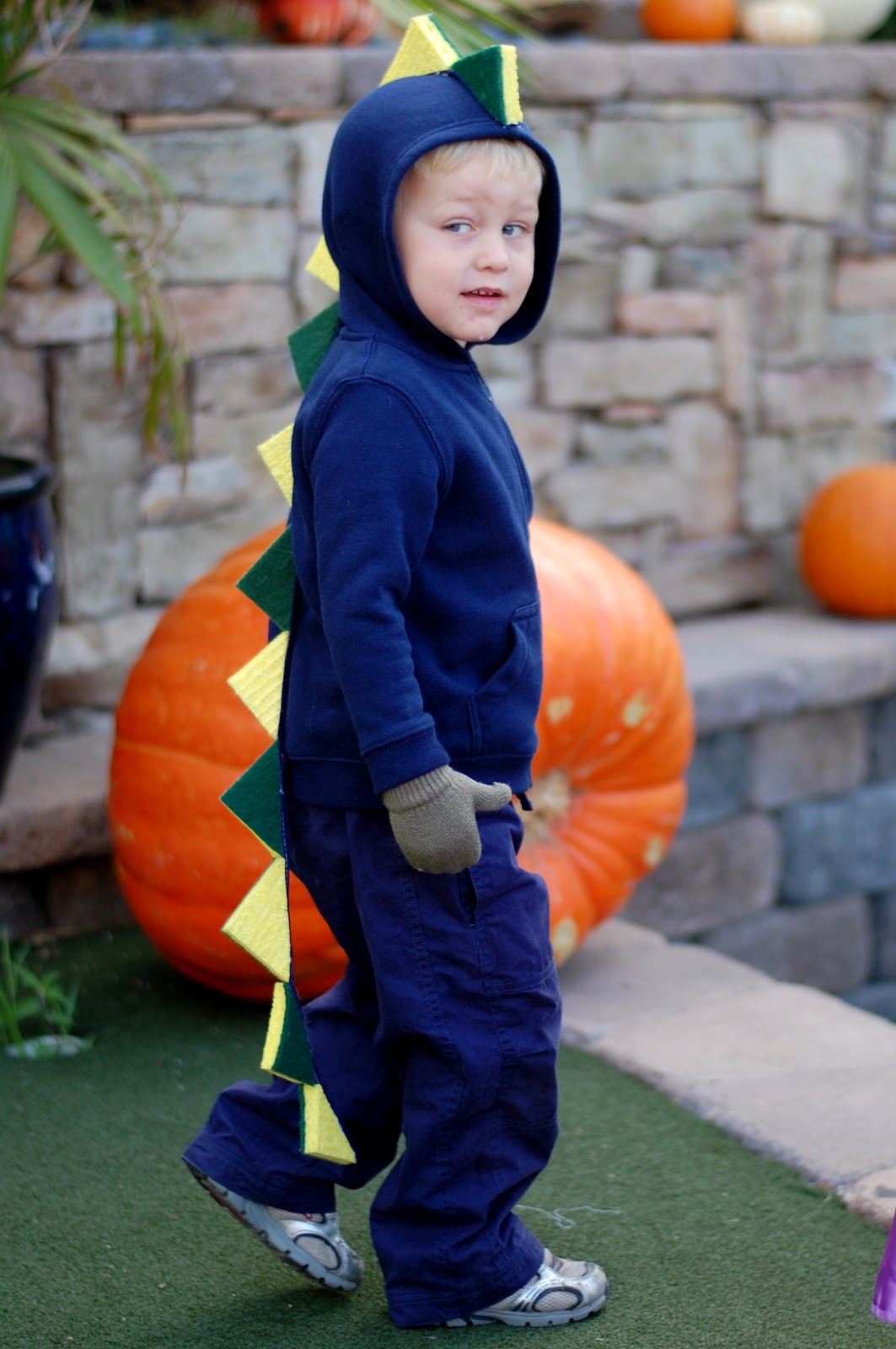 Simmworks Family Blog: Rawr Dinosaurs! DIY Costume