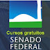 Senado Federal oferece curso online gratuito sobre Política