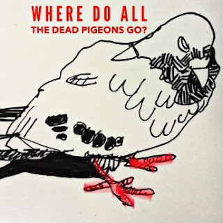 Where Do All the Dead Pigeons Go?