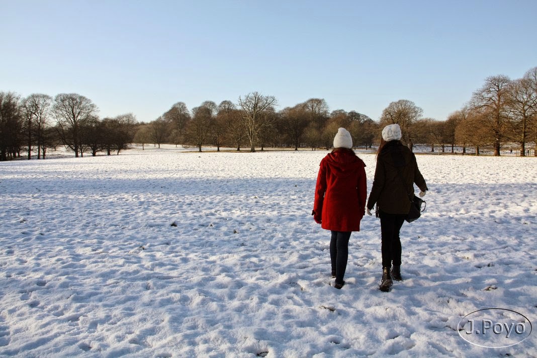 Wollaton Park, Nottingham