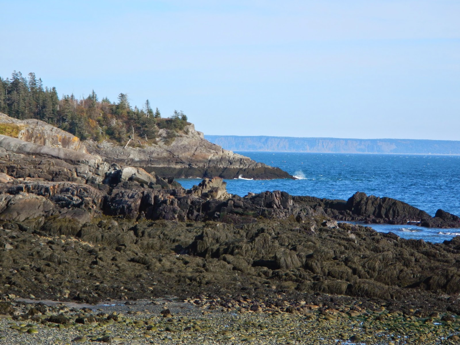 Oh To Be Hiking! Harrington Beach in Eastern Maine
