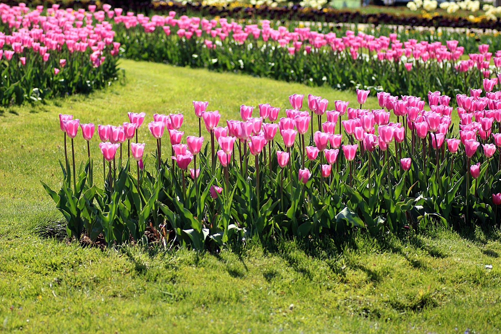 Barocke Gartentage &bull; House No 37