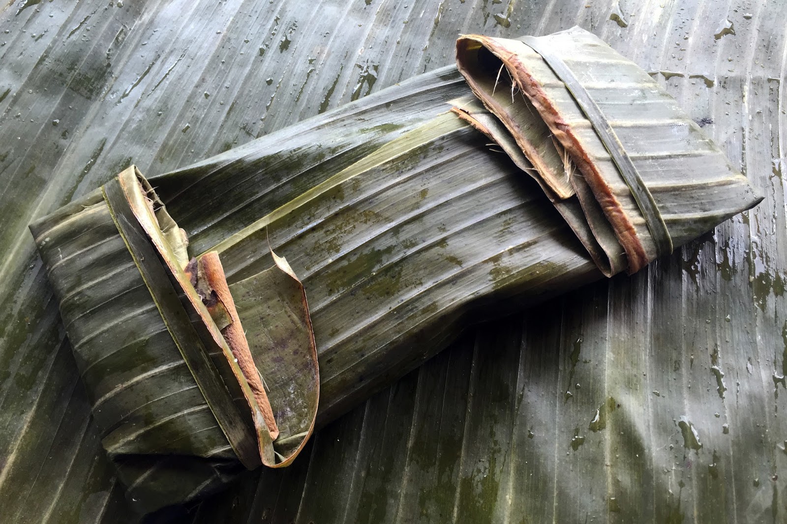La hoja de platanero en la cocina a la brasa
