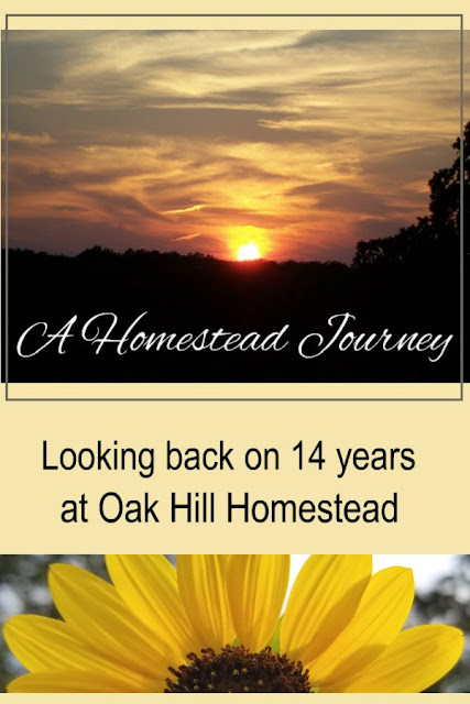 A Homestead Journey, a retrospective on 14 years