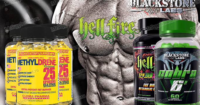 Gengolden жиросжигатель. Iron fat burner жиросжигатель. fat burner жиросжигатель lida. fat burner жиросжигатель gls. bodyburg лого.