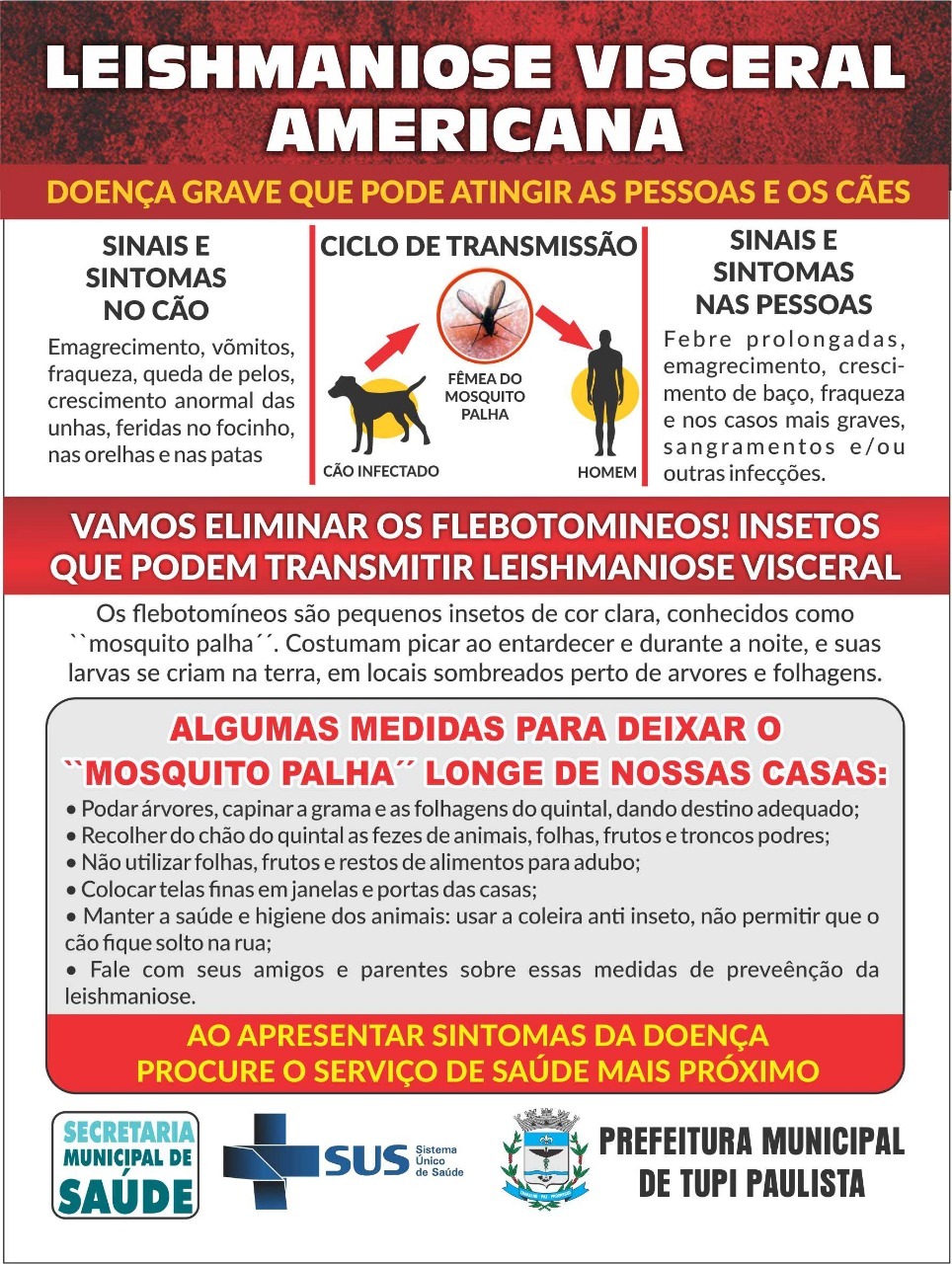 leishmaniose visceral sintomas transmissão e prevenção