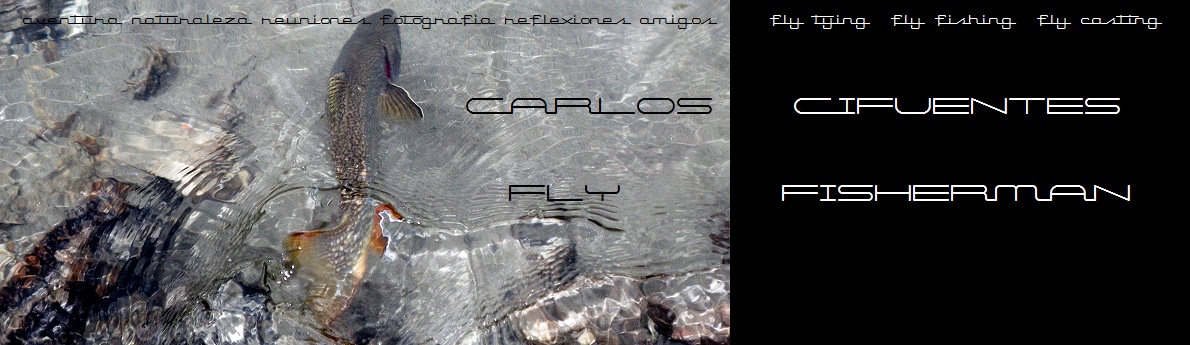 CARLOS CIFUENTES FLY FISHERMAN