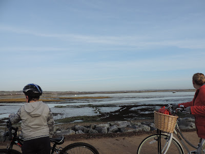 farlington marshes nature reserve