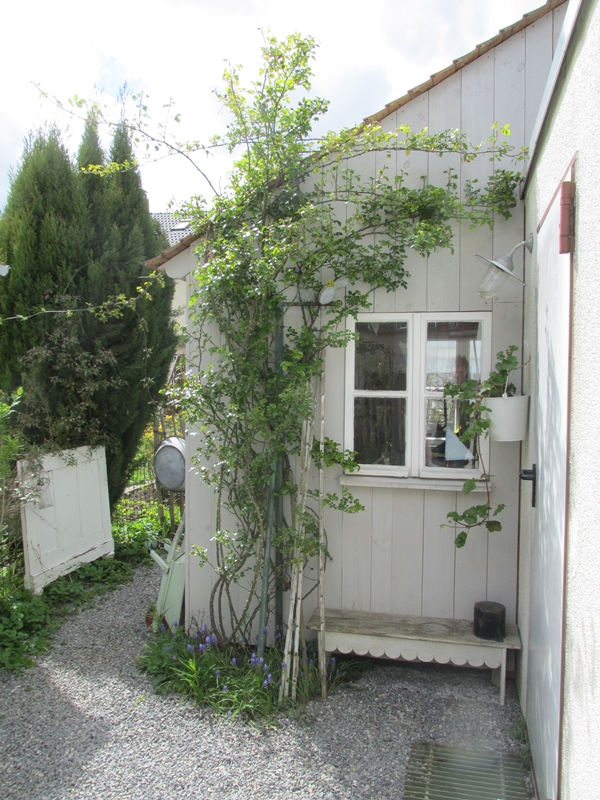 Waldstrumpf Neue Ausblicke&hellip;.