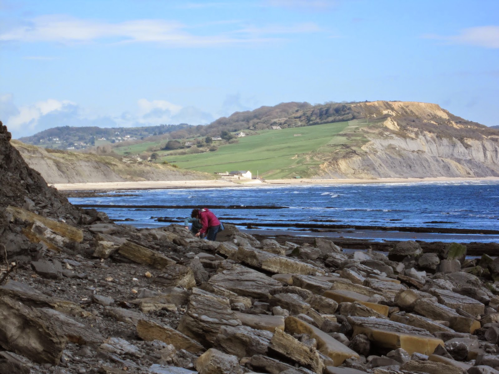 the-cabbages-of-doom-may-2014