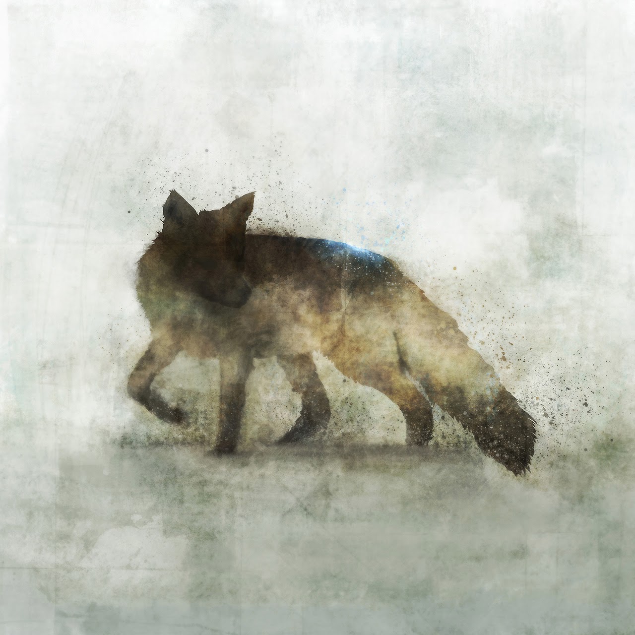 avant garde design: ken roko's animals.