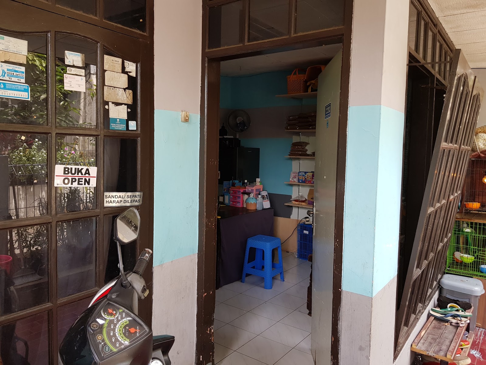 Happy Cat House Bandung: Tentang Kami