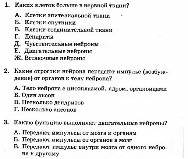 Контрольная работа 8 класс биология нервная система. Контрольная работа 8 класс биология нервная система. Контрольная работа 8 класс биология нервная система. Нервная система тест 8 класс биология с ответами. Тест по биологии нервная система.