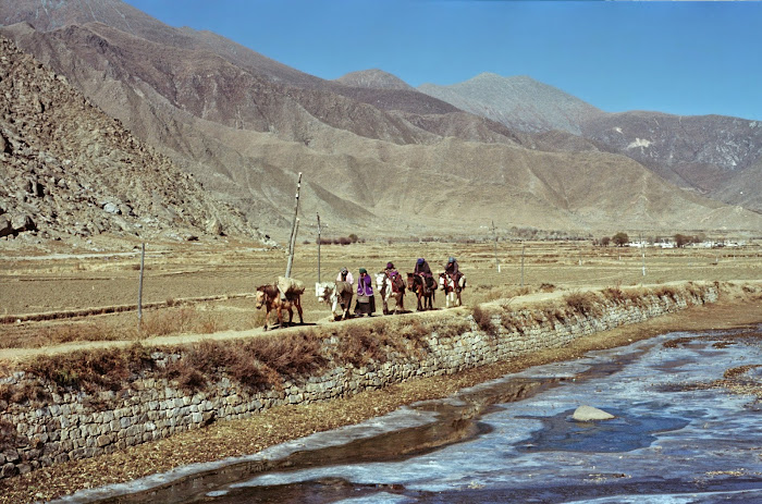 Tibet, Quxu, © L. Gigout, 1990