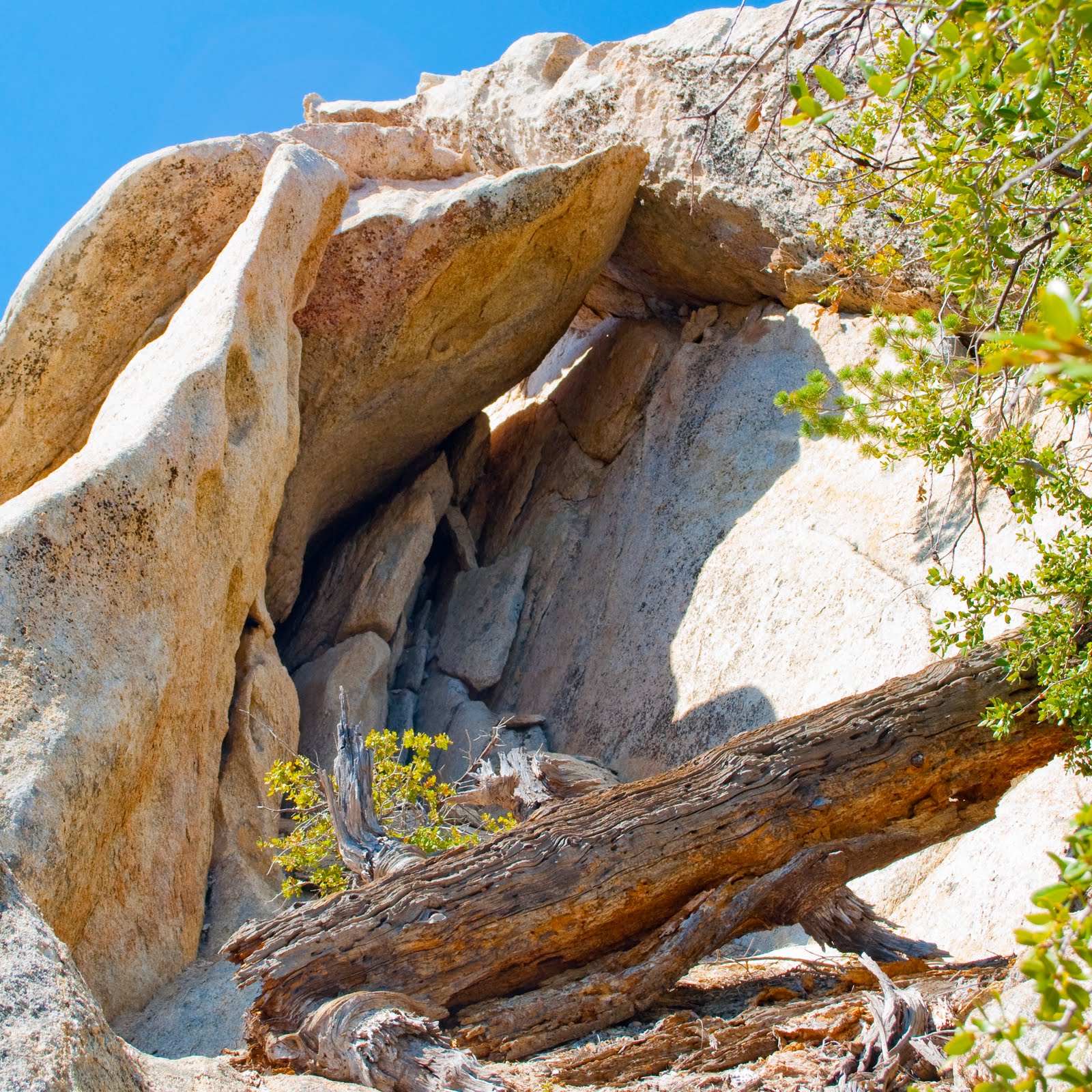 Adventure Los Angeles Horse Flats Camping First Days of Summer