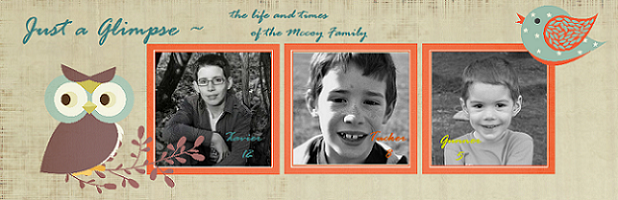 Just a glimpse ~ the life and times of the 5 McCoy's