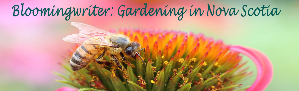 Bloomingwriter: Gardening in Nova Scotia