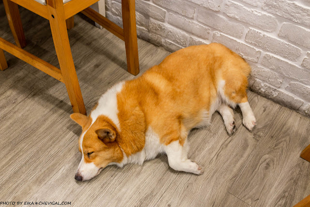 傳統台式碗粿變身為夢幻甜點！咖基米 KaJiMi獨家抹茶起司碗粿要先預訂唷！