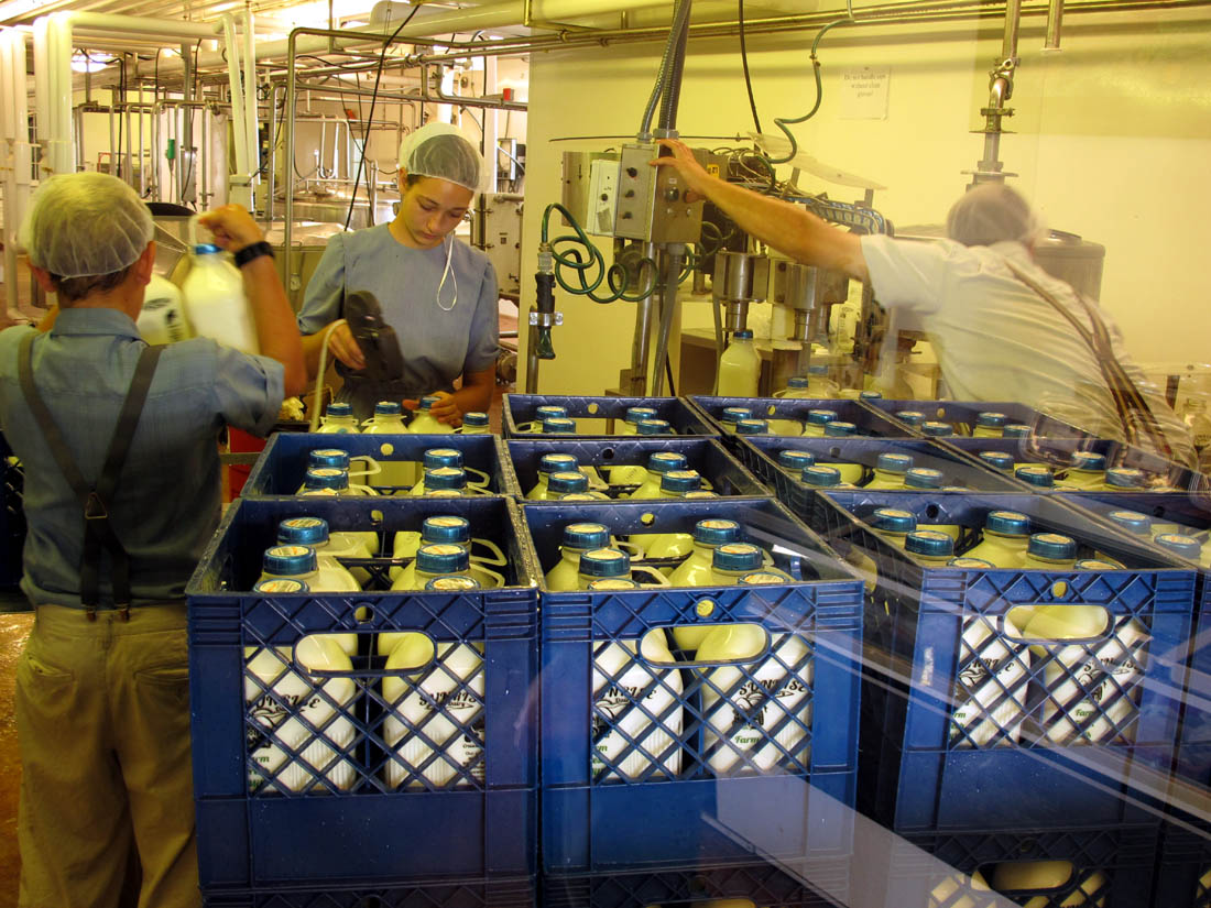 Jim Young Reporter Cumberland Co. Mennonite Dairy Offers Locally