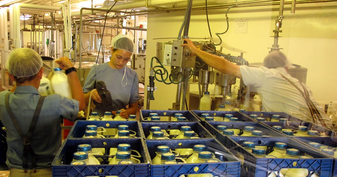 Jim Young Reporter Cumberland Co. Mennonite Dairy Offers Locally