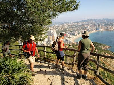 GAVIOTAS EN EL PEÑÓN DE IFACH