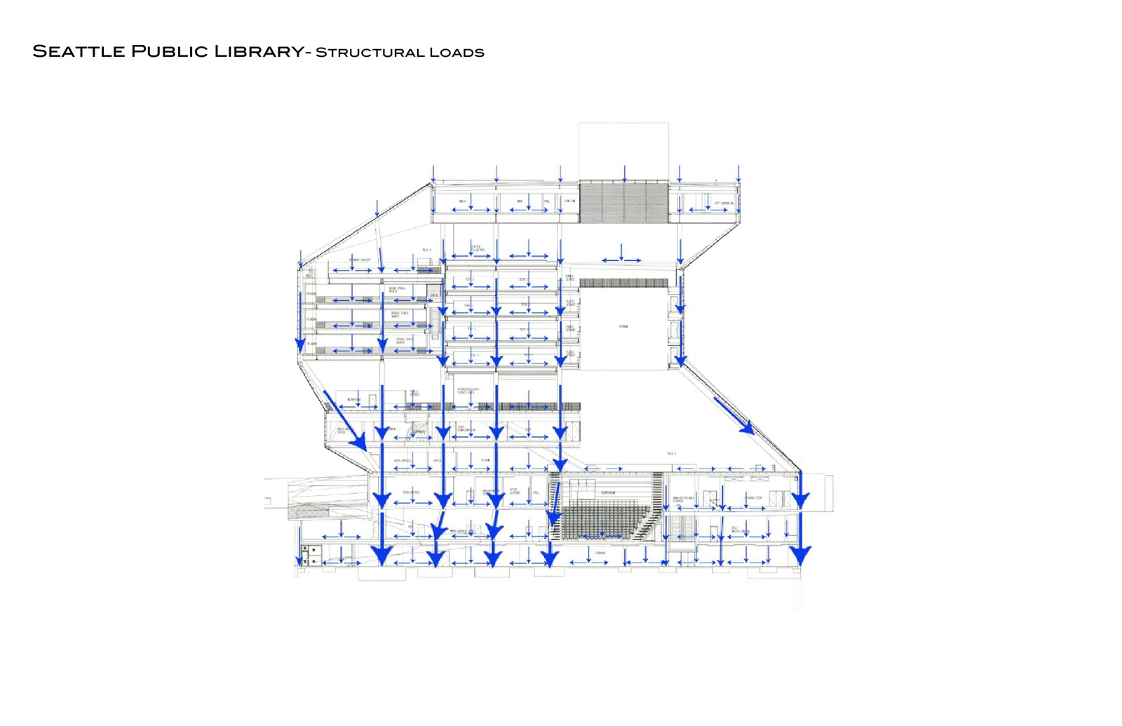 Elite Designs: Seattle Public Library - Precedent Study