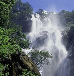 Waterfalls and Trekking