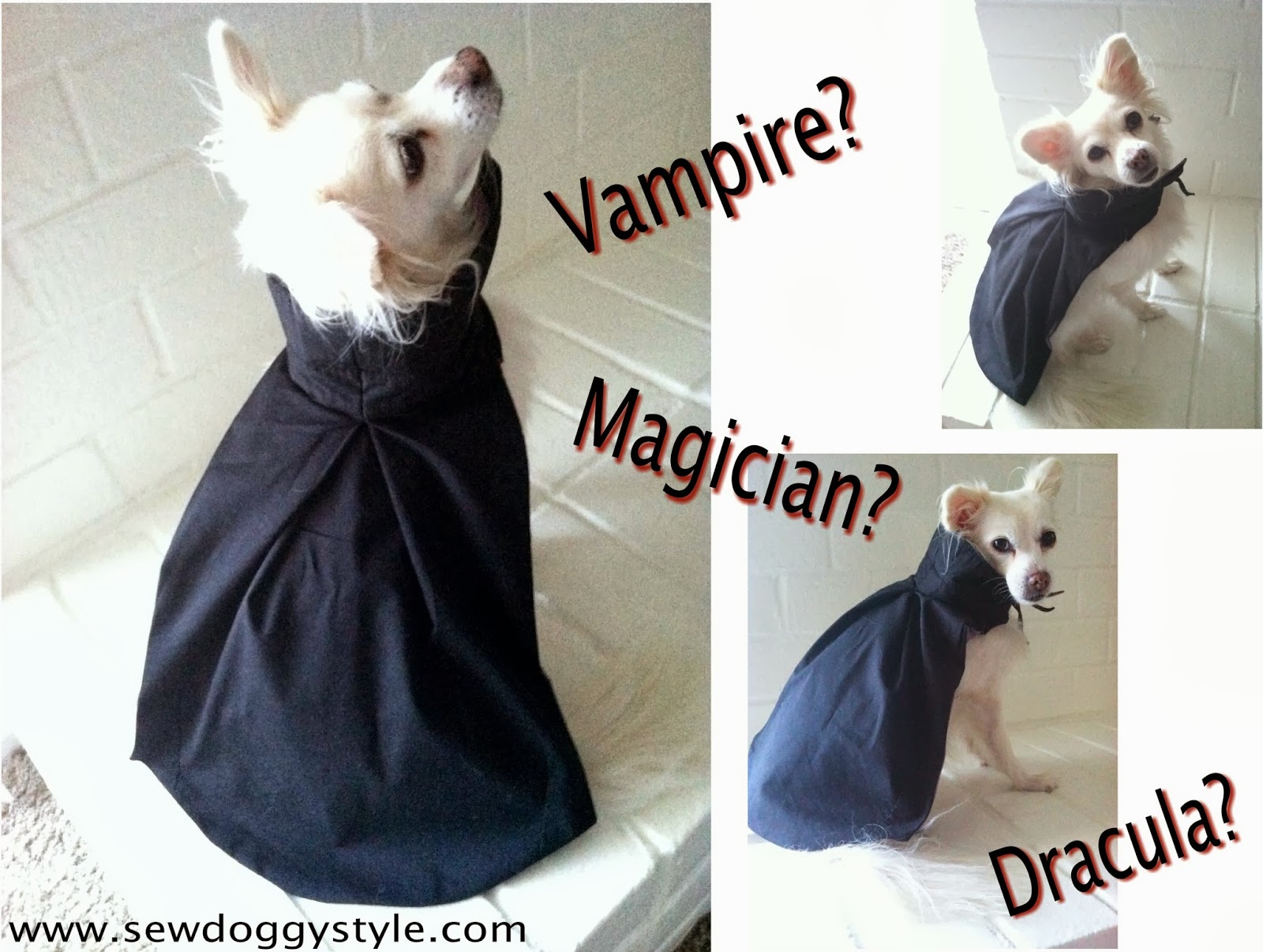 Sew DoggyStyle DIY Upcycled Dog Cape