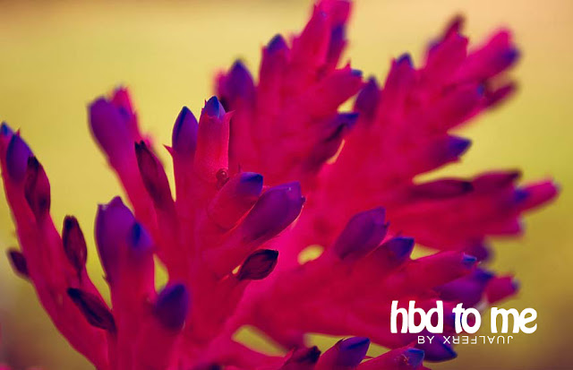 HBD TO ME!!! | JUALFERX